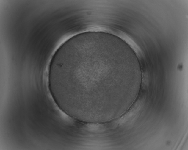 X0000103951046200809261744