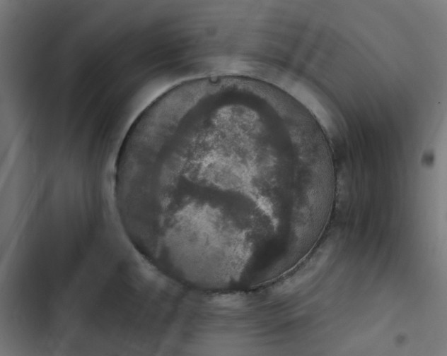 X0000103951047200809261744