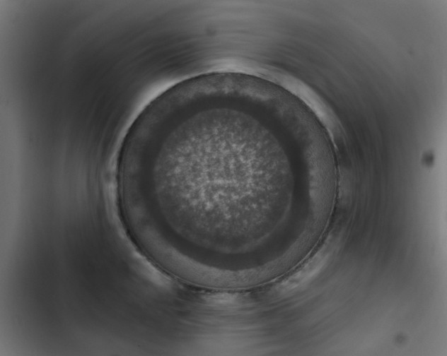 X0000103951048200809261744