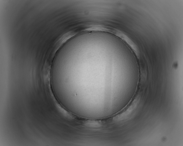 X0000103951049200809261744