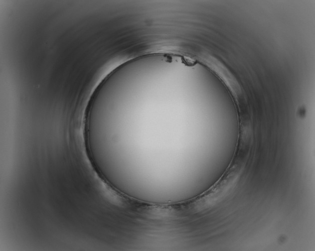 X0000103951050200809261744