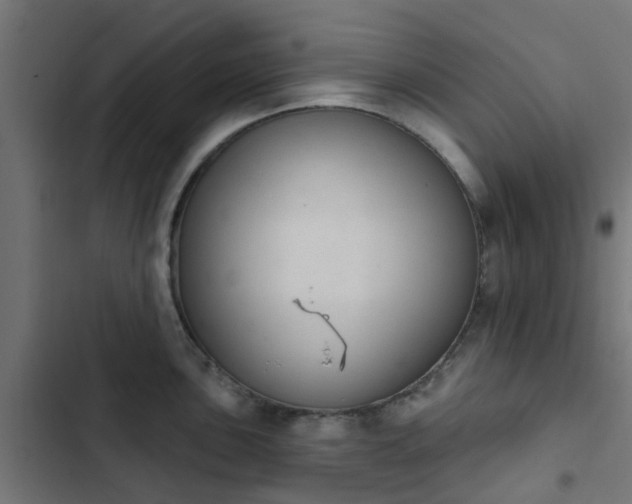 X0000103951051200809261744