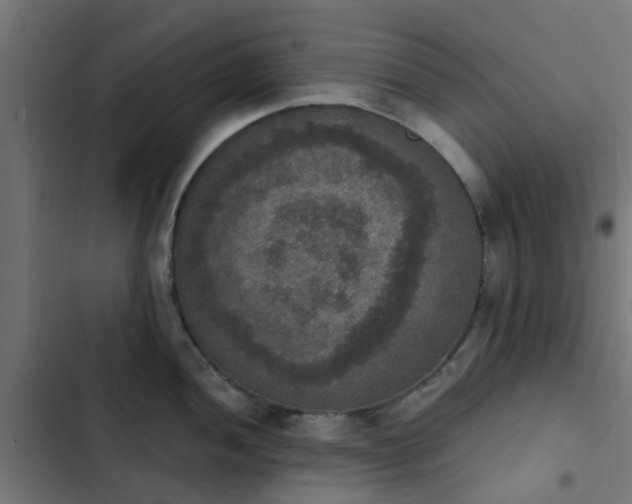 X0000103951052200809261744