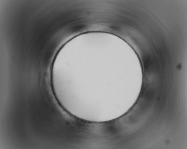 X0000103951053200809261744