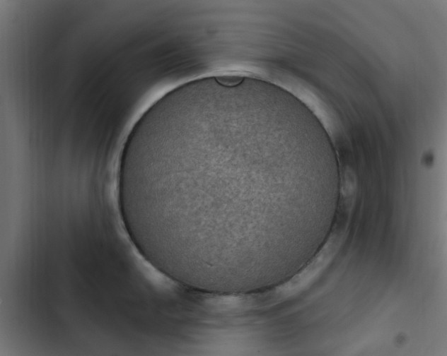 X0000103951054200809261744