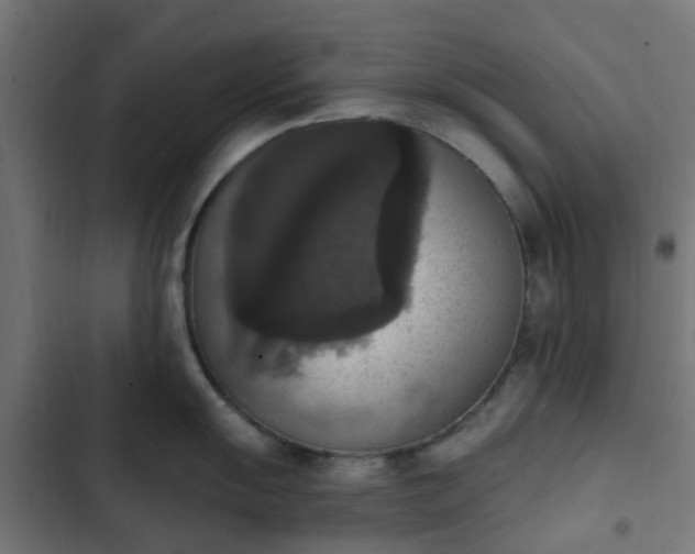 X0000103951055200809261744