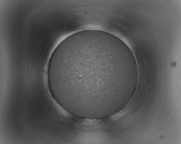 X0000103951056200809261744