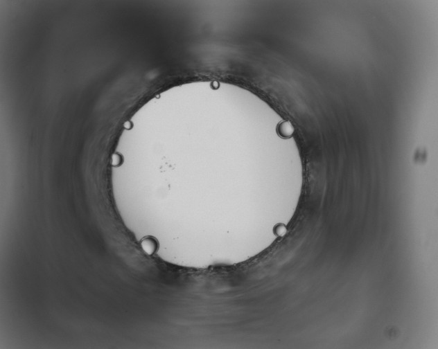 X0000103951057200809261743