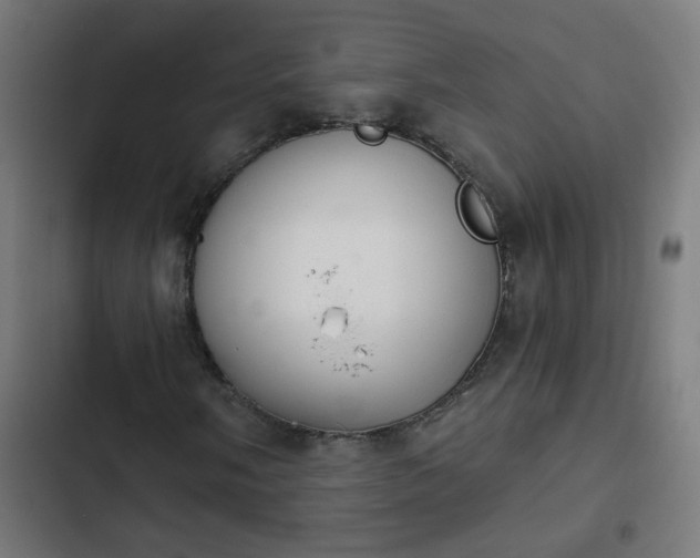 X0000103951058200809261743