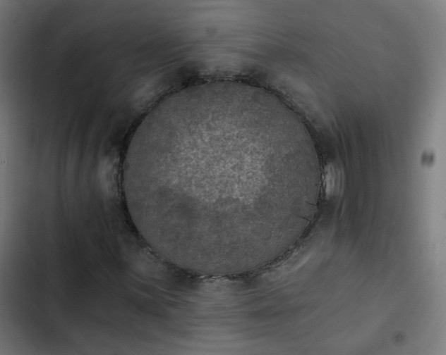 X0000103951059200809261743