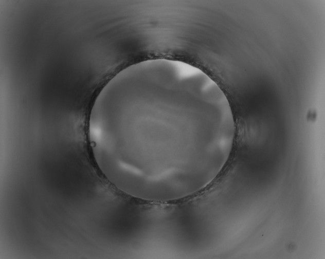 X0000103951060200809261743