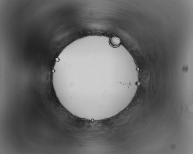 X0000103951061200809261743