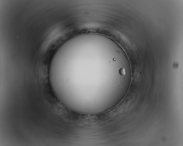 X0000103951062200809261743