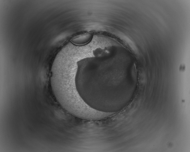 X0000103951063200809261743