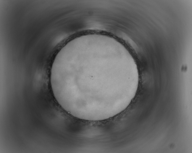 X0000103951064200809261743