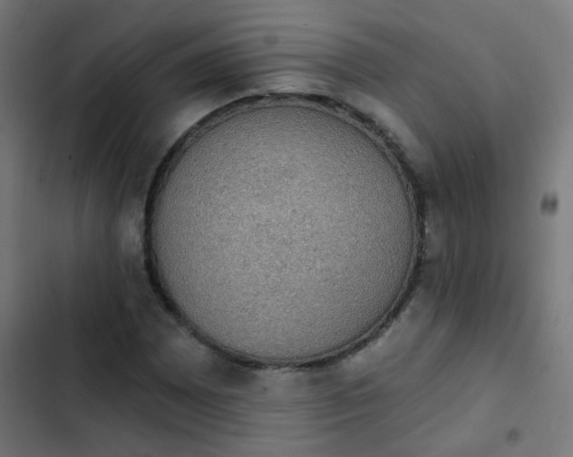 X0000103951065200809261743