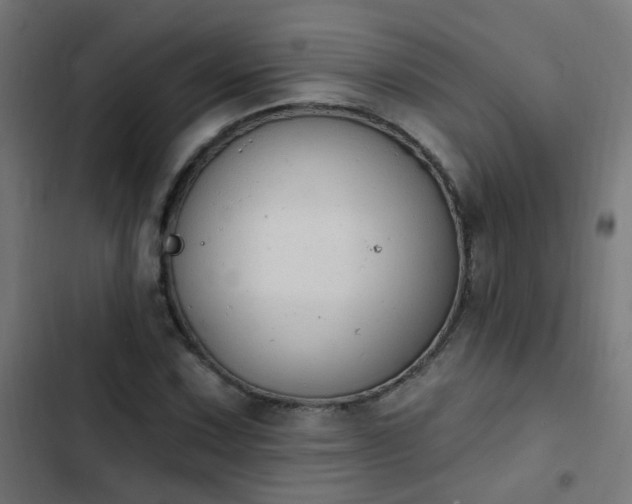 X0000103951067200809261743