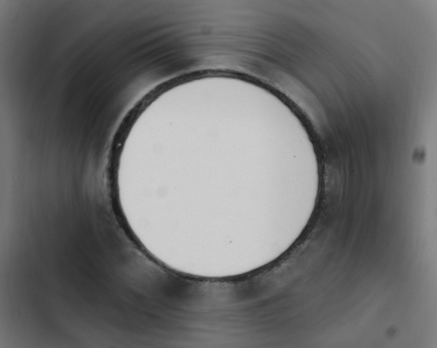 X0000103951068200809261743