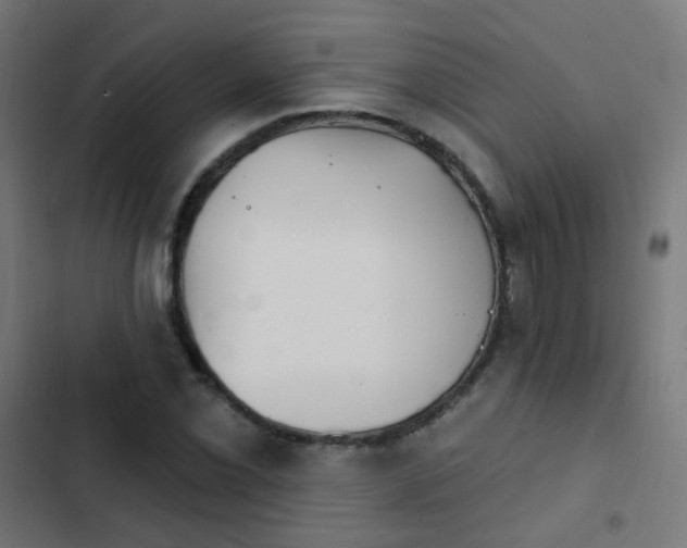 X0000103951069200809261743