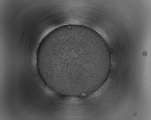 X0000103951070200809261743