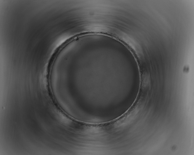 X0000103951071200809261743