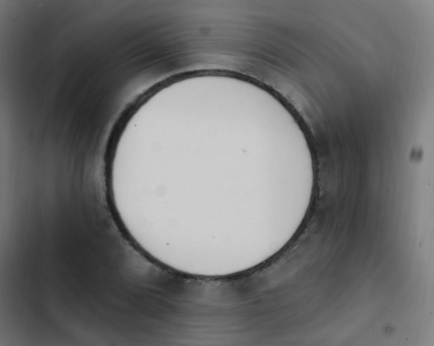 X0000103951072200809261743