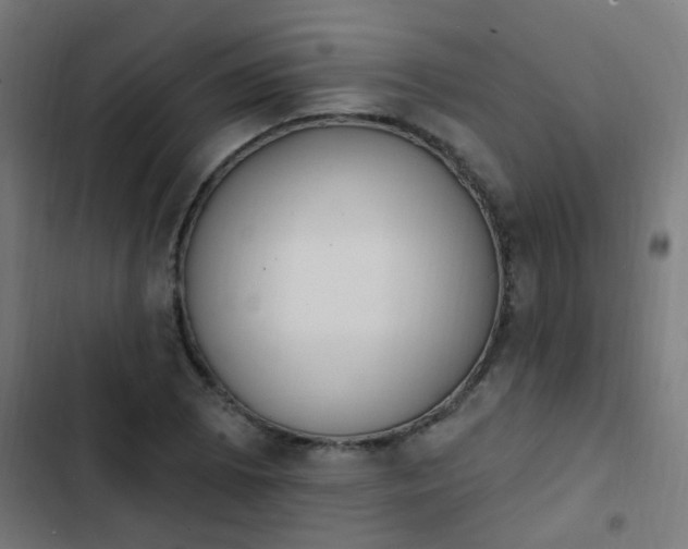 X0000103951073200809261743