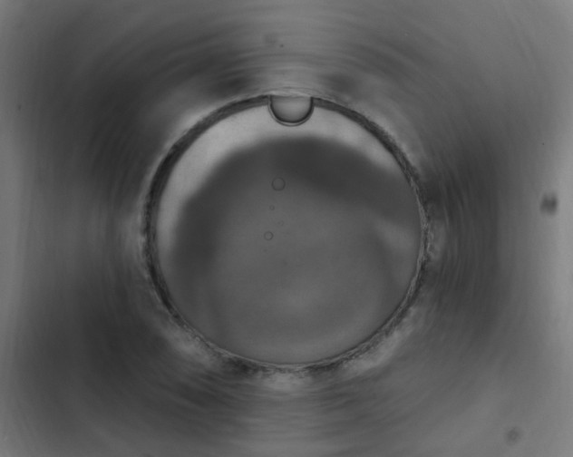 X0000103951074200809261743