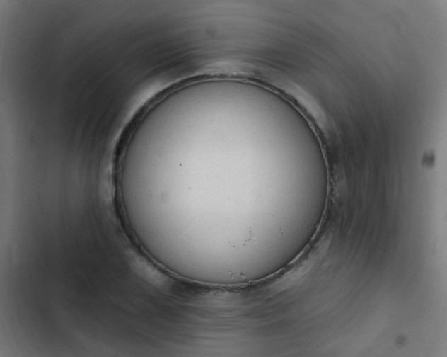 X0000103951075200809261743