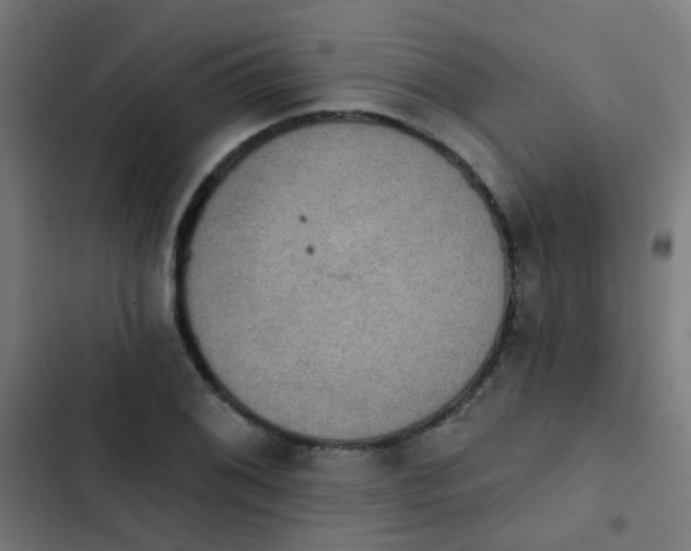 X0000103951076200809261743