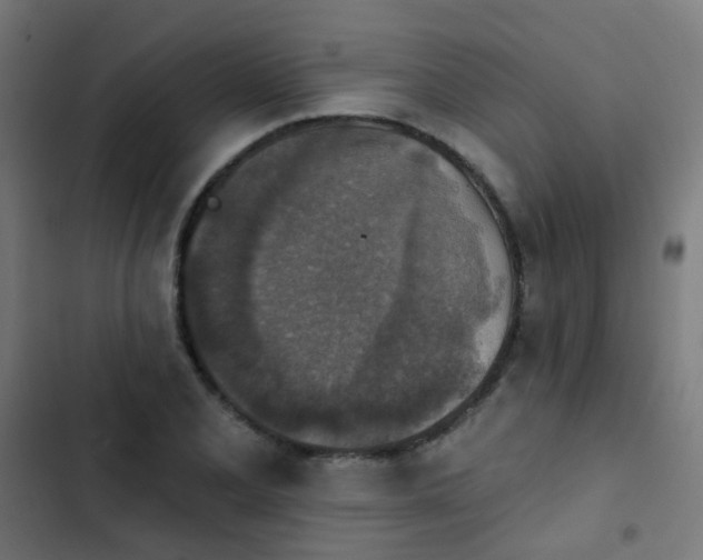 X0000103951077200809261743