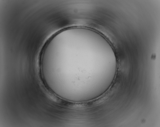 X0000103951078200809261743