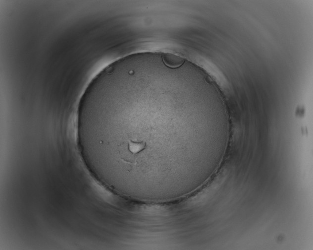 X0000103951079200809261743