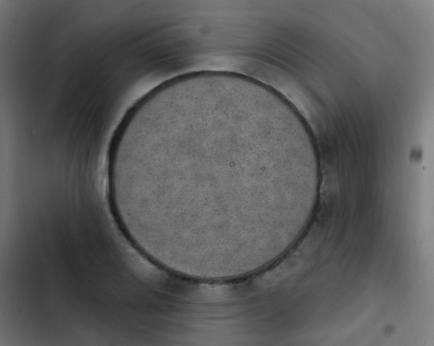 X0000103951080200809261743