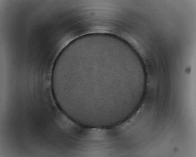 X0000103951081200809261743