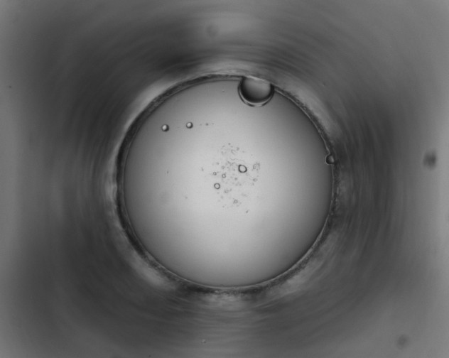 X0000103951082200809261743