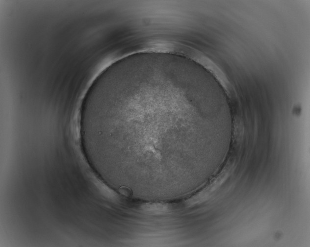 X0000103951083200809261743