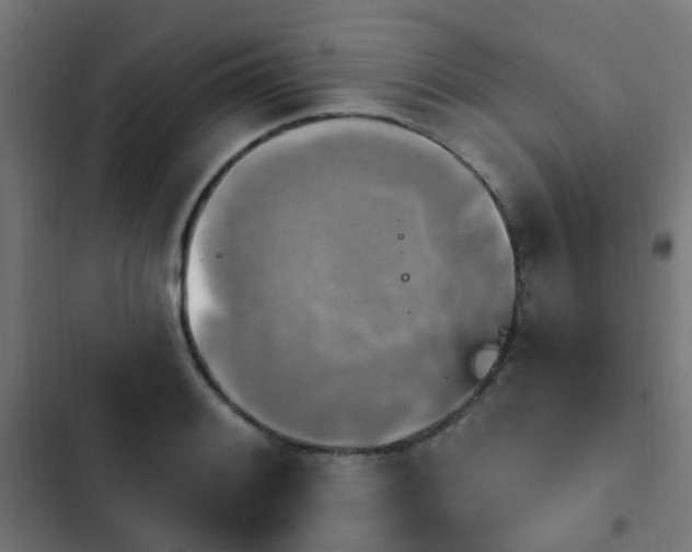 X0000103951084200809261743