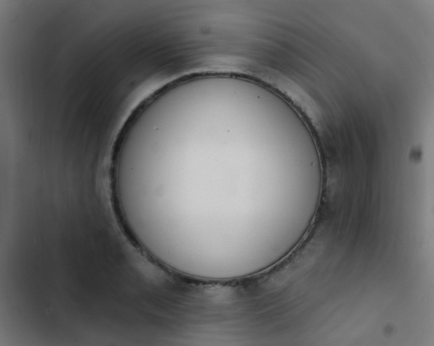 X0000103951085200809261743