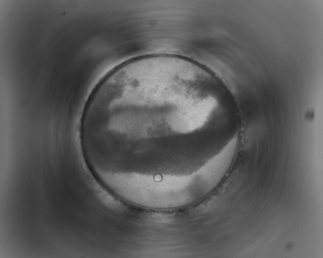 X0000103951086200809261743