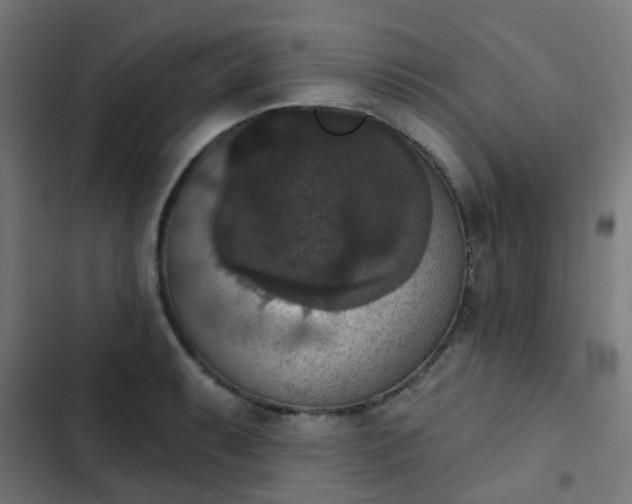 X0000103951087200809261743