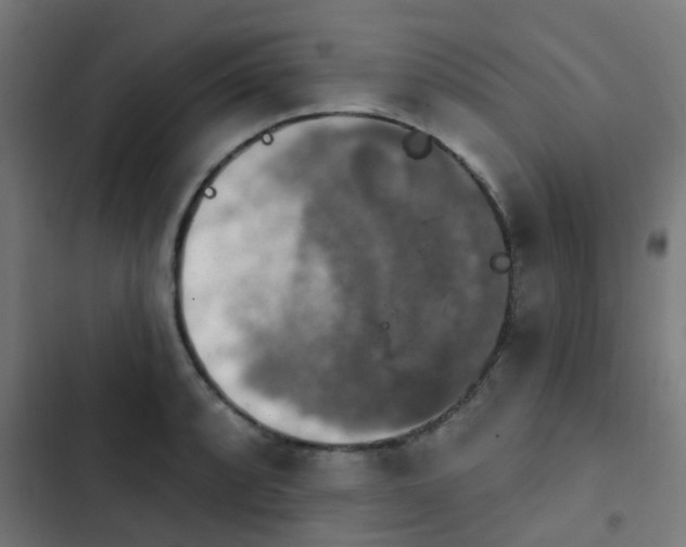 X0000103951088200809261743