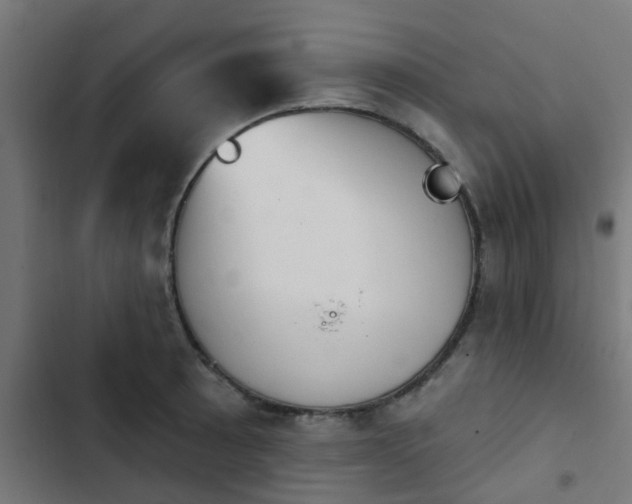 X0000103951089200809261743