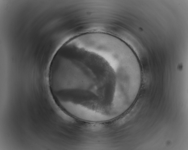 X0000103951090200809261743