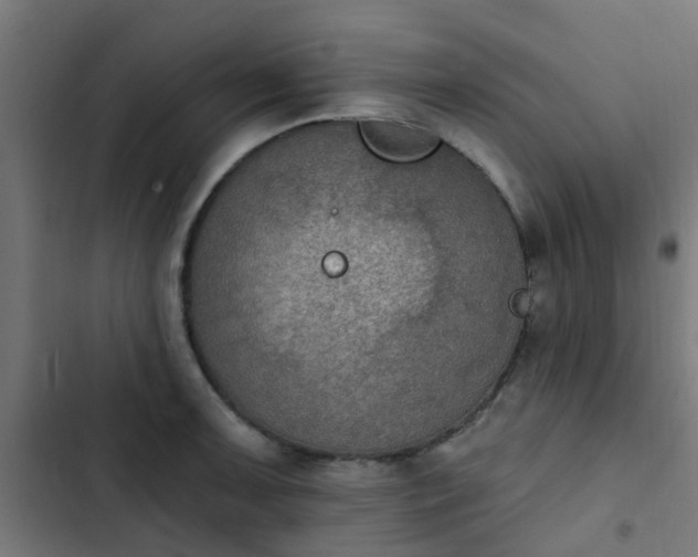 X0000103951091200809261743