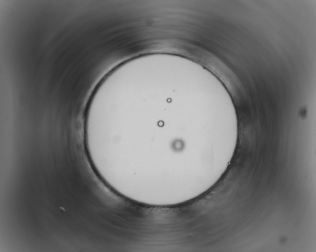 X0000103951092200809261743