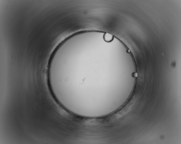 X0000103951093200809261743