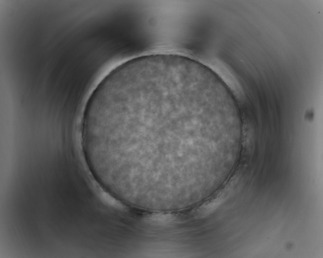 X0000103951094200809261743