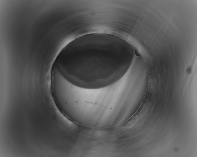 X0000103951095200809261743