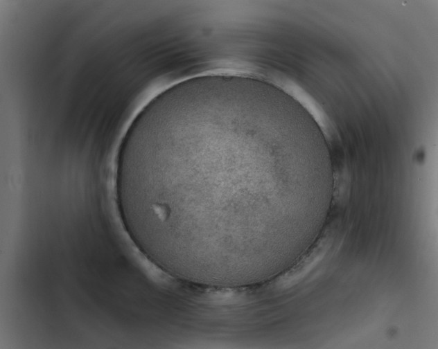 X0000103951099200809261742